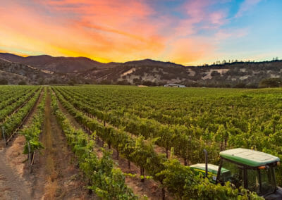 The sun sets over the western mountains as tractors prepare for night harvest at Cache Creek Vineyards