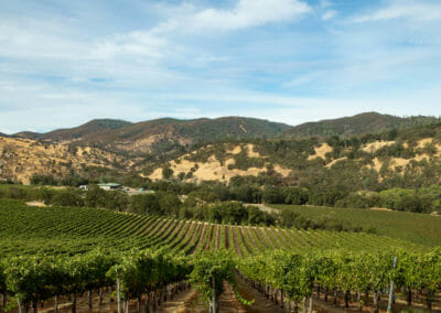 A long view of our winery nestled between the Lake County hills and our vineyards