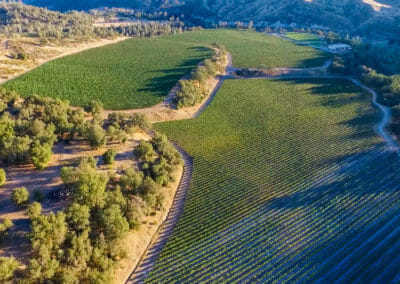 An aerial view of Cache Creek Vineyards and Winery's estate vineyards