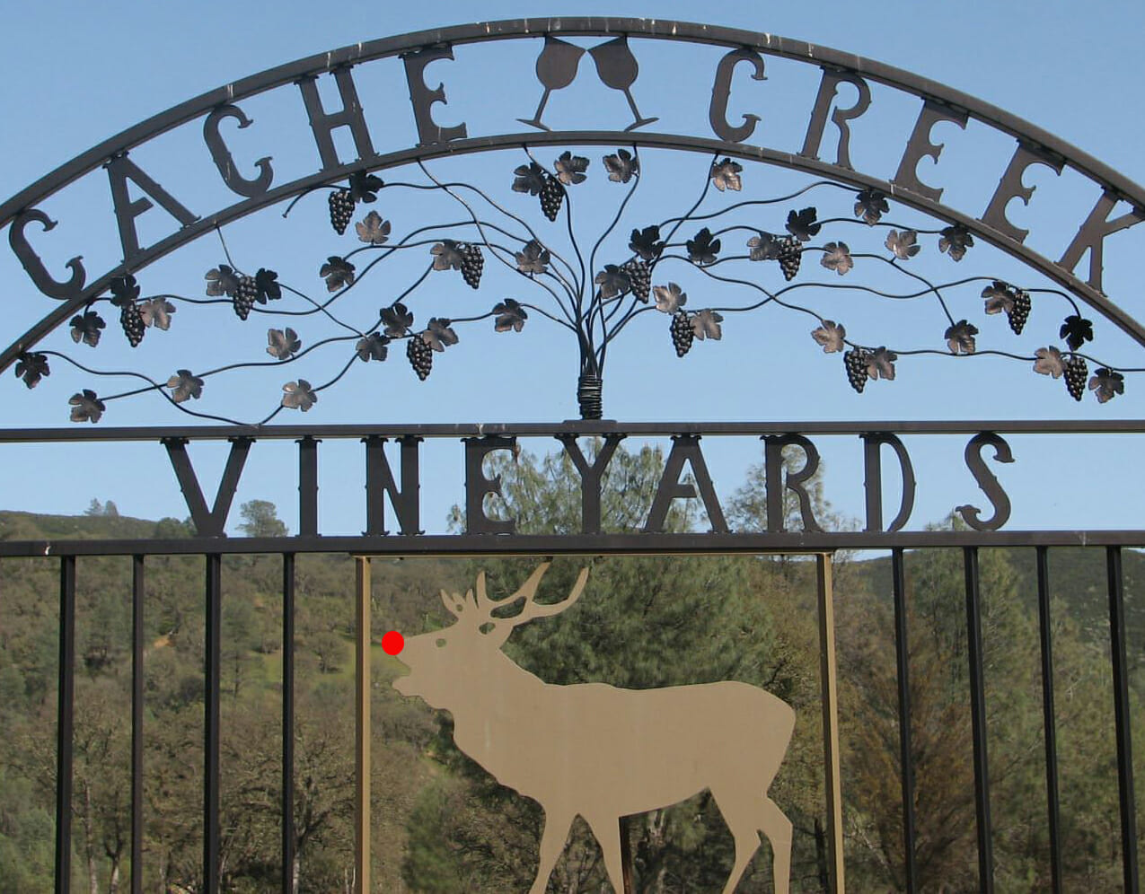Holiday Wine Club Pickup Party